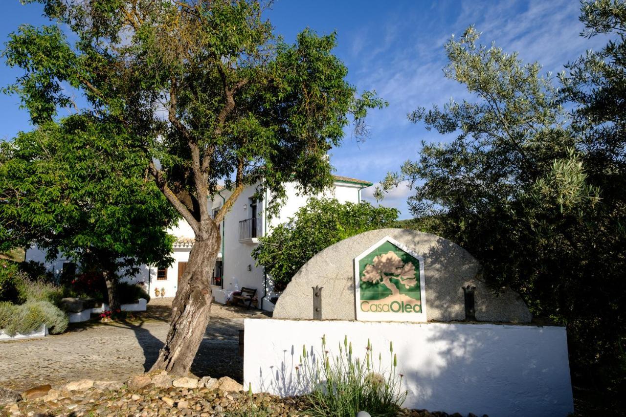 Casa Olea Acomodação com café da manhã Priego de Córdoba Exterior foto