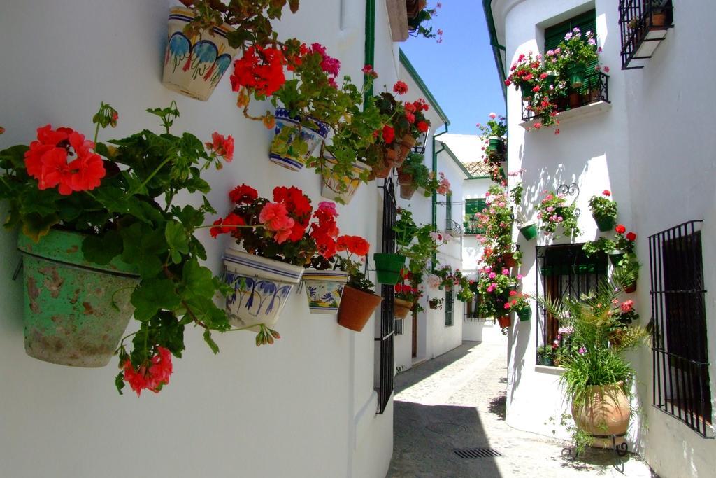 Casa Olea Acomodação com café da manhã Priego de Córdoba Exterior foto